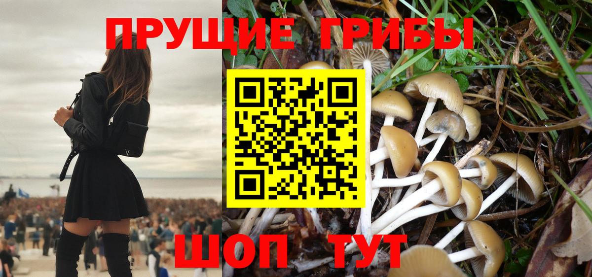 Ялуторовск  Псилоцибиновые грибы Magic Shrooms  Вход с VPN 